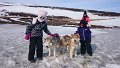 Dog sledding (32)